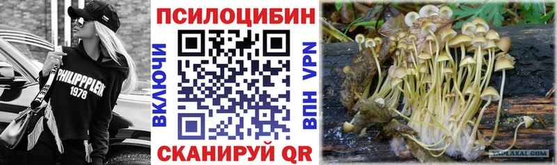 где купить наркоту  Сафоново  OMG tor  Галлюциногенные грибы ЛСД 